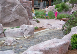 Creek that leads into the pool at the Wilderness Lodge